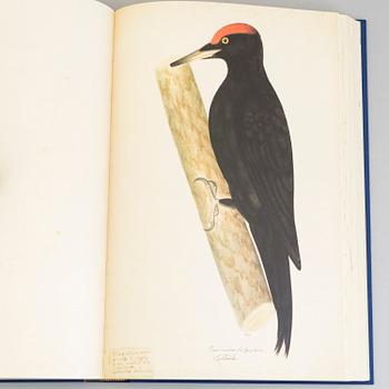 Olof Rudbeck the younger, a portfolio and two books, 1985. Numbered 574/1499. 14 litographs in color are included.