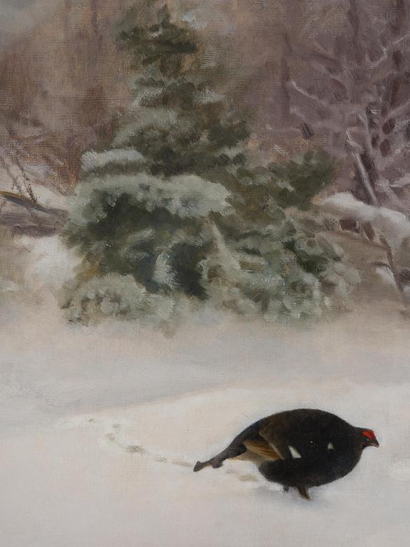 Bruno Liljefors, Grouses.