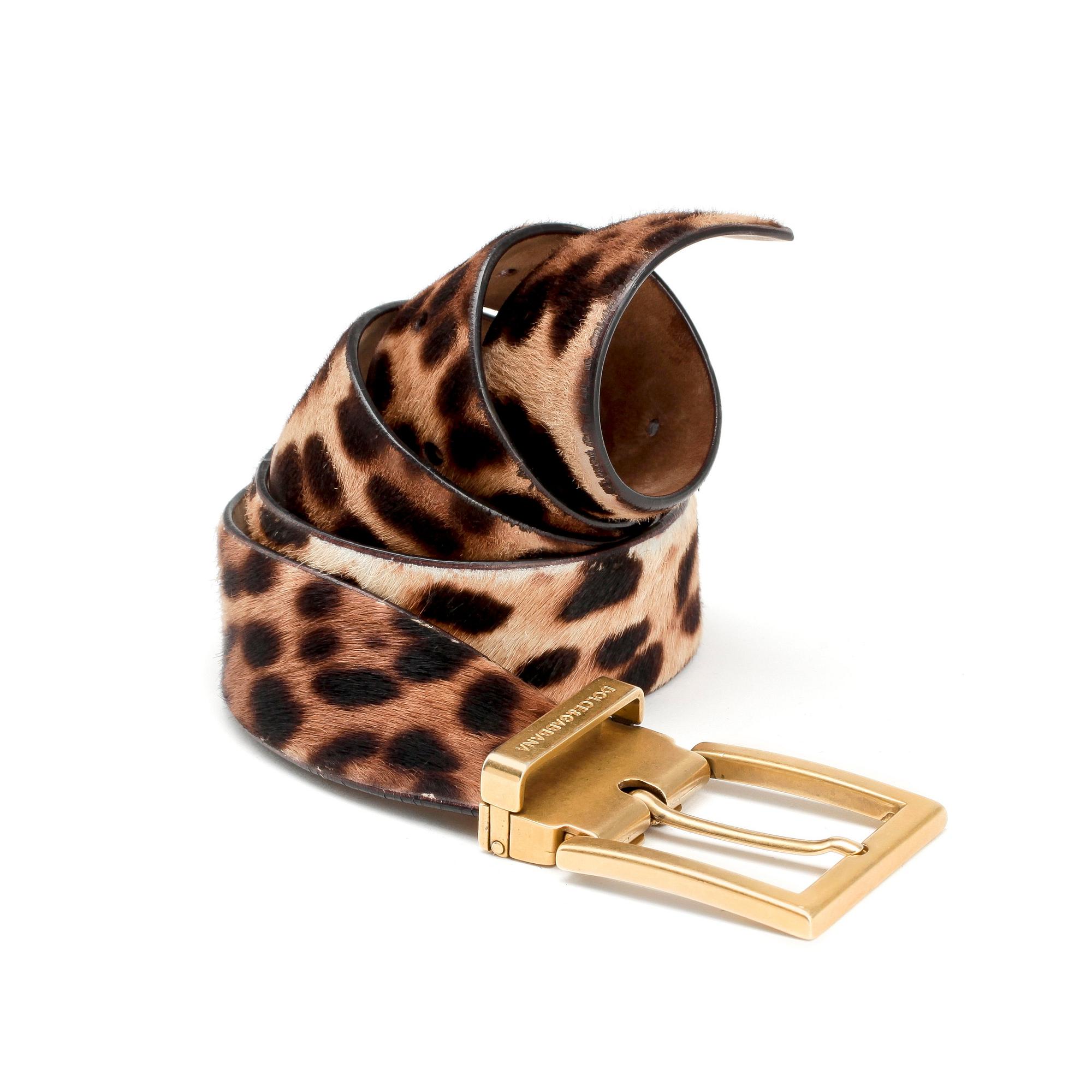 ベルト Dolce & Gabbana Leopard Print Belt Dolce & Gabbana KIM DOLCE&GABBANA DG-logo leopard-print Belt