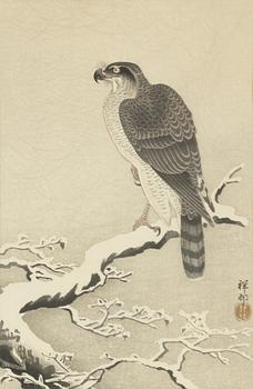 Ohara Koson, 'Wild geese in snow falling sky' and 'Falcon in the snow'.