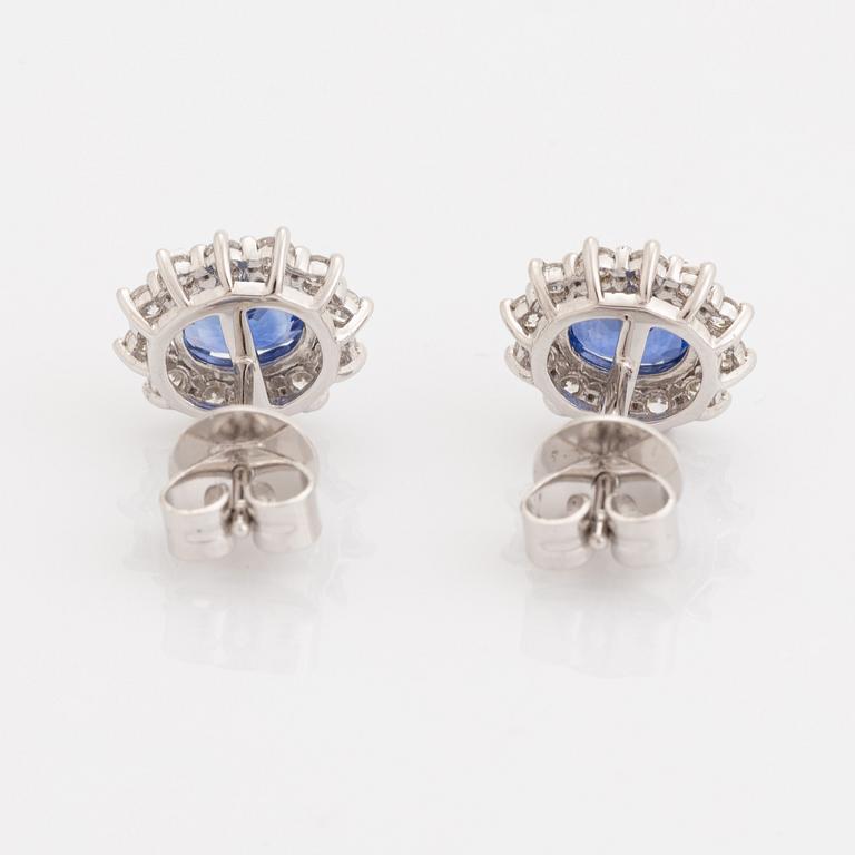 Örhängen, carmosé  med safirer och briljantslipade diamanter.