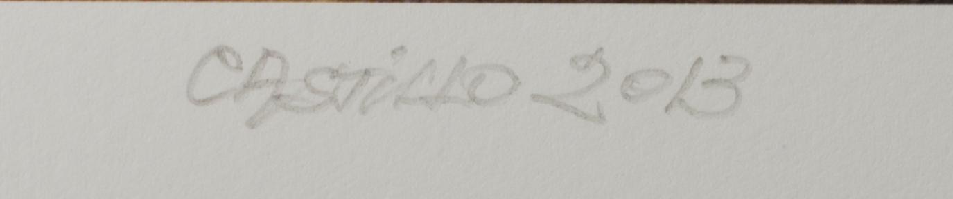 JORGE CASTILLO, pigment print, signed and numbered 8/10, dated 2013.