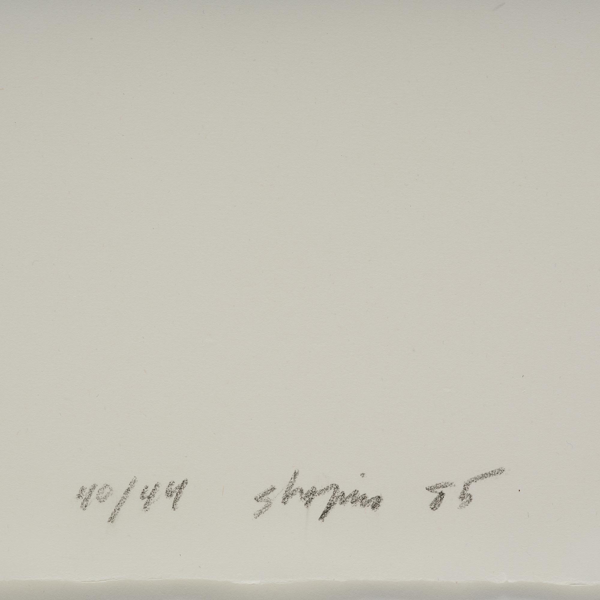 Joel Shapiro, Untitled #2.