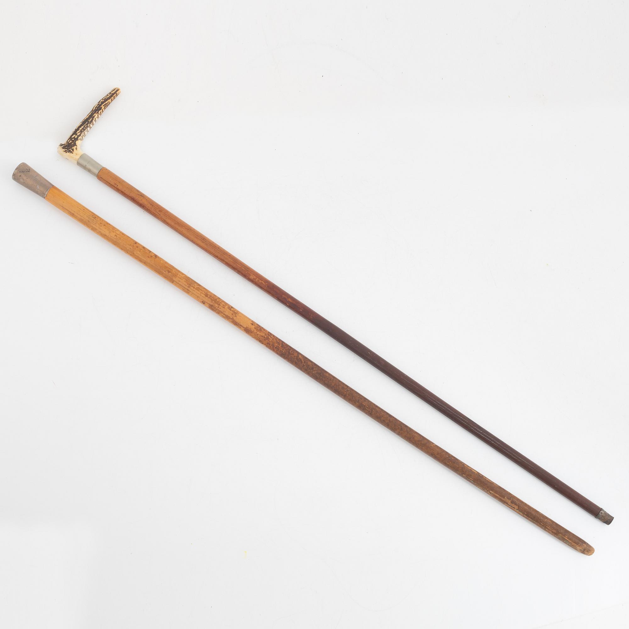 Cane, 2 pcs, von Rosen, 1895-1901.