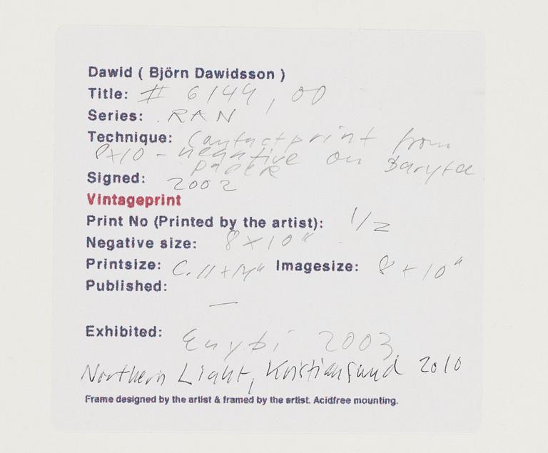 Dawid (Björn Dawidsson), "#6144" ur serien RAN, 2000.