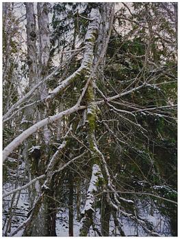Andreas Eriksson, Untitled.