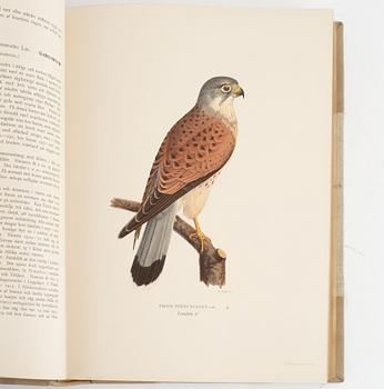 The limited, hand-coloured edition of Wright: Swedish Birds.