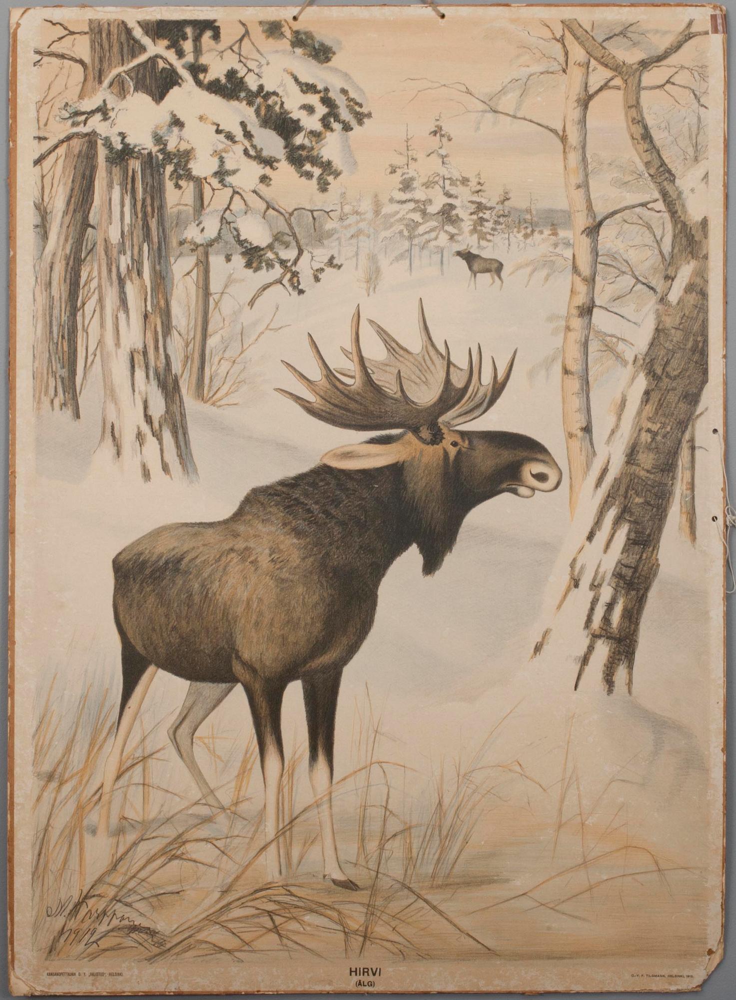 SKOLPLANSCHER, 6 st, litografi, Dybdahls zoologiske plancher. Thon & Co, Oslo samt F. Tilgmann, Helsingfors 1912.