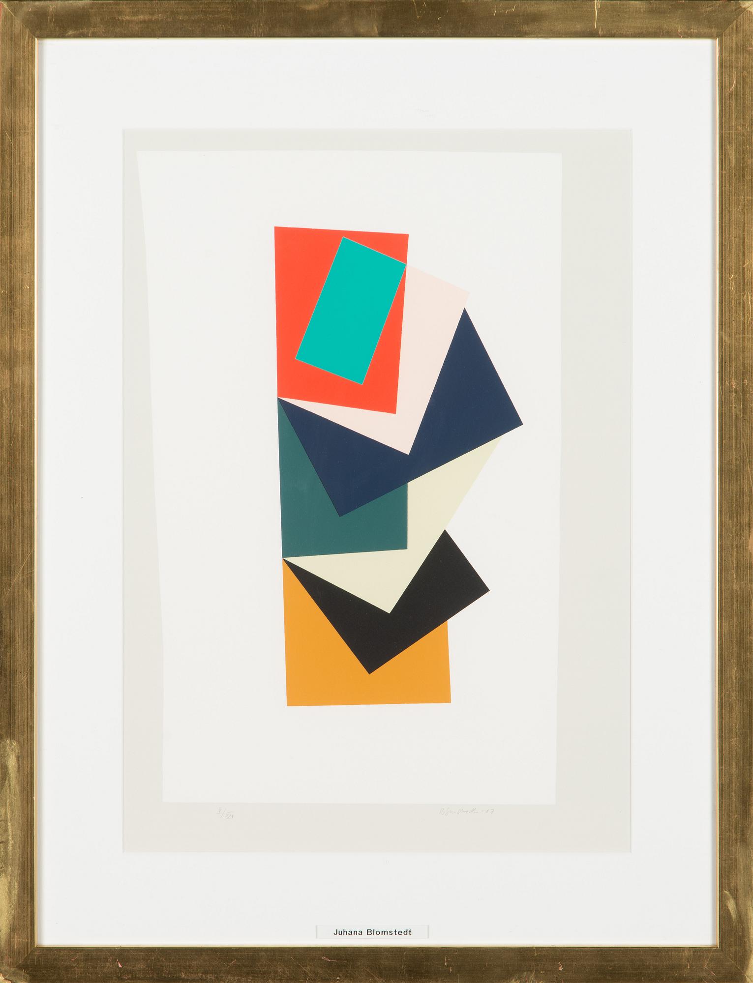 Juhana Blomstedt, serigrafia, signeerattu ja päivätty -07, numeroitu V/XXV.