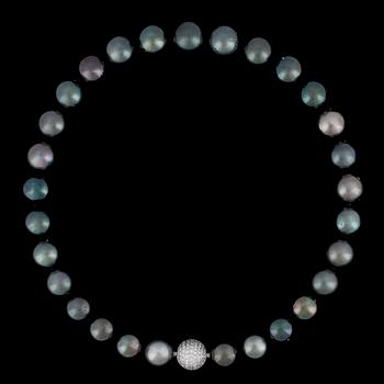 A cultured Tahitit pearl, 14,7-13,4 mm, necklace.