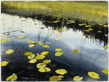 Peter Eugén, View over a lake with water lilies.