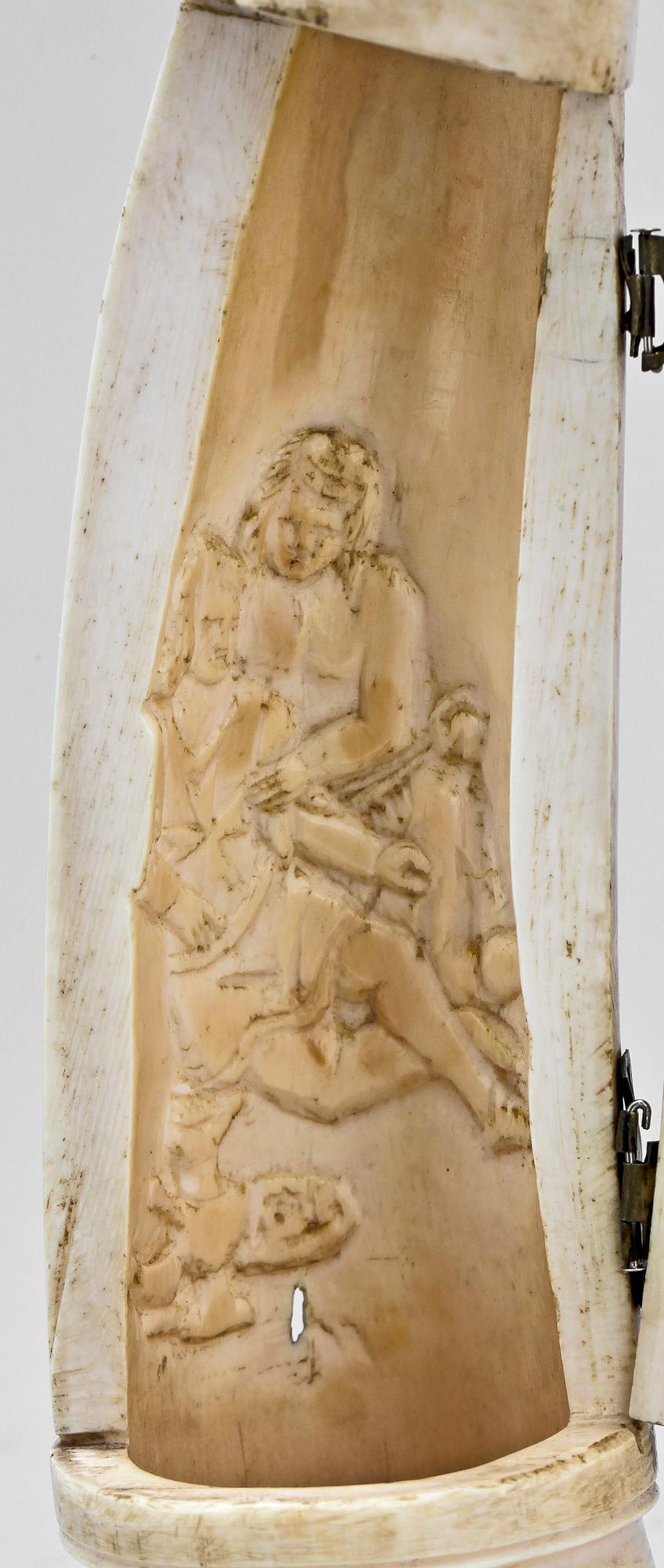 DOSA, ben, 1800-tal.