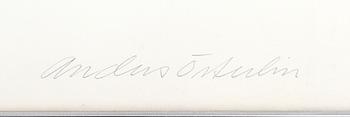 Anders Österlin, Untitled.