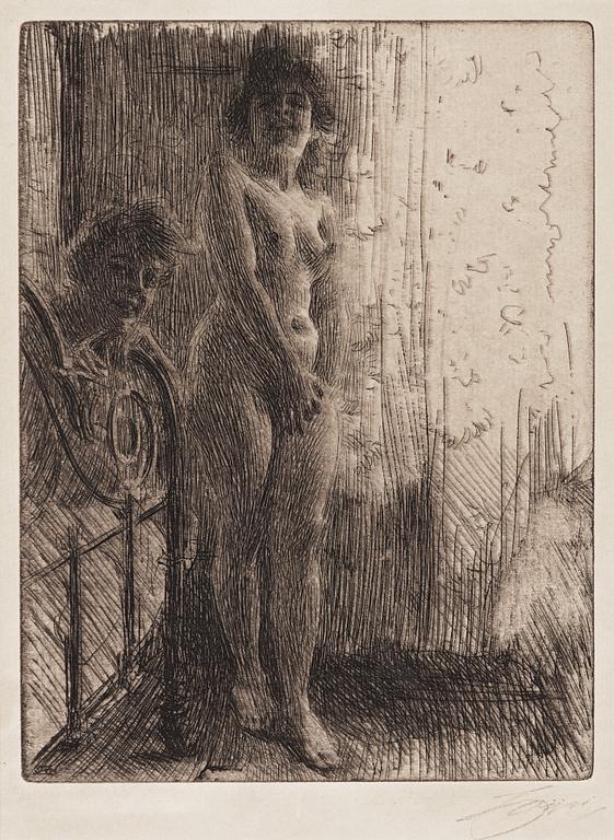 Anders Zorn, "Dark corner".
