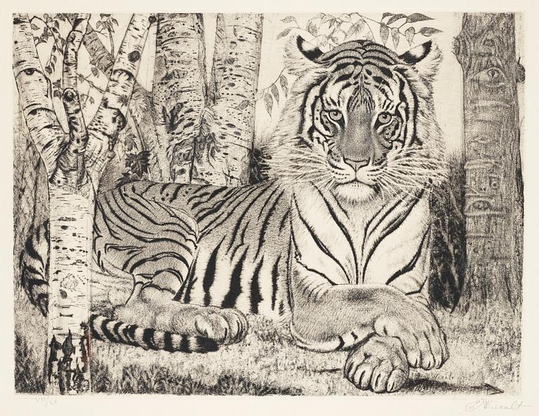 Eduard Wiiralt, "Reclining tiger" (Lamav tiiger).