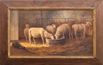 Unknown artist 19th/20th century, sheep in a stable.