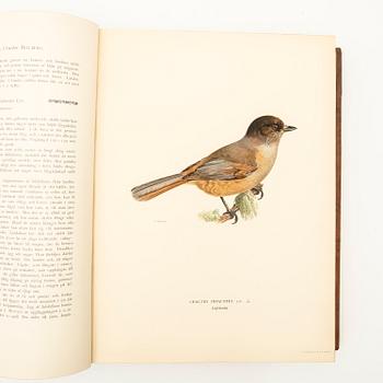 The Wright Brothers, book work, 3 volumes, "Swedish Birds", A. Börtzells tryckeri AB, Ivar Baarsen, Stockholm, 1927-1929.