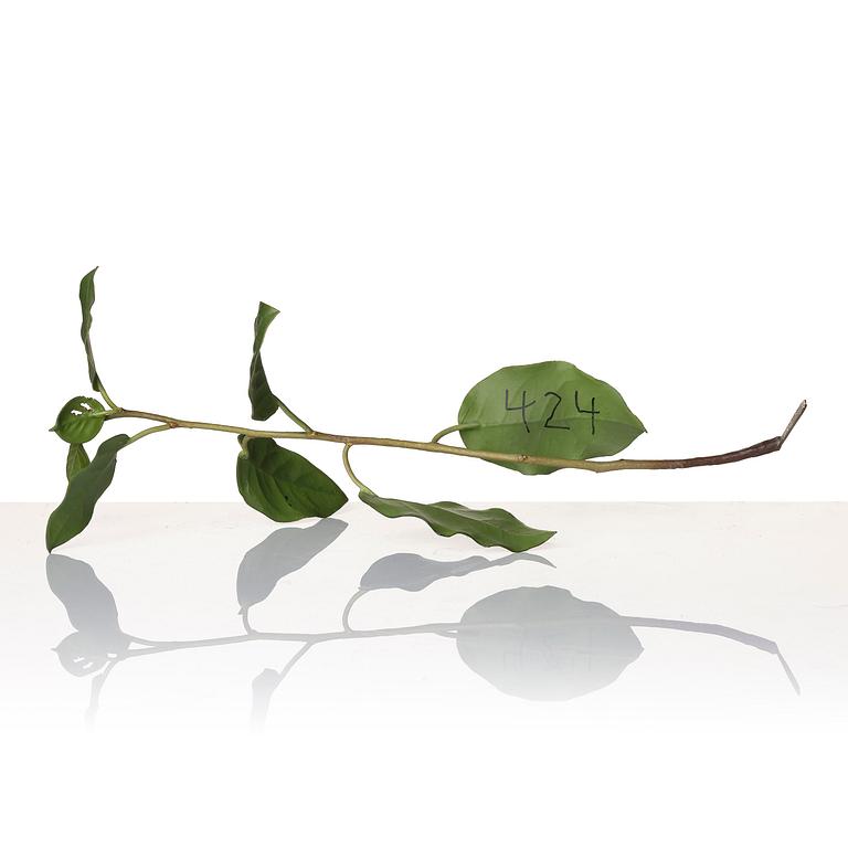 Tony Matelli, "Weed #424".