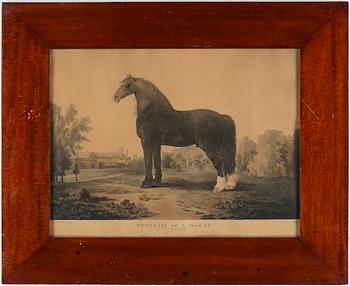 GRAVYRER, 2 st. 1800-tal.