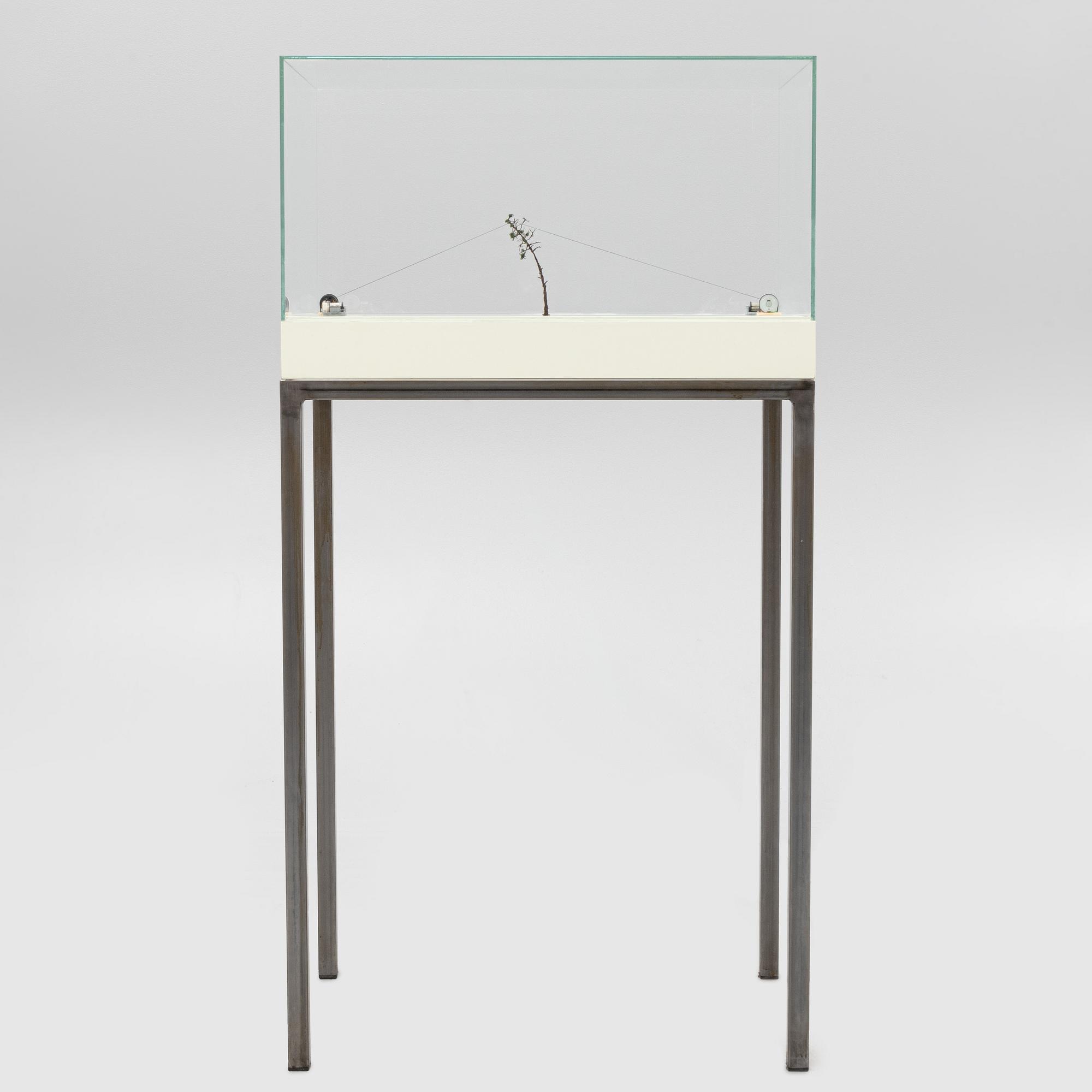 Hanna Ljungh, "Orchestration (Yesterday - Bolero)".