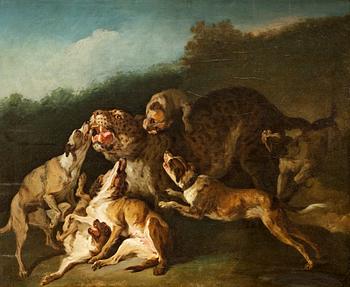 310. Jean-Baptiste Oudry, Hundar anfallande en leopard.