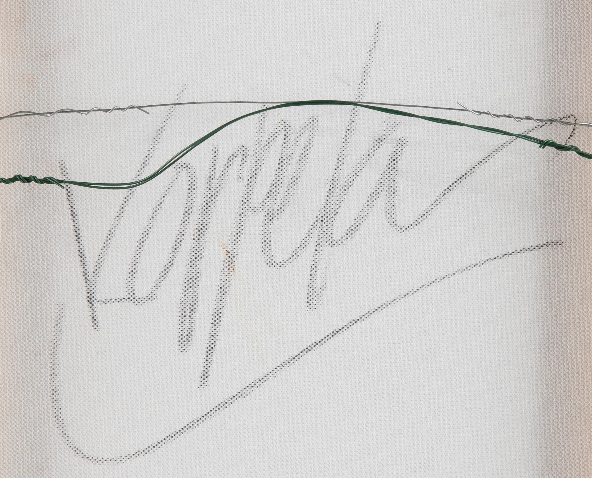 Teemu Korpela, Kvinna i trädgården.