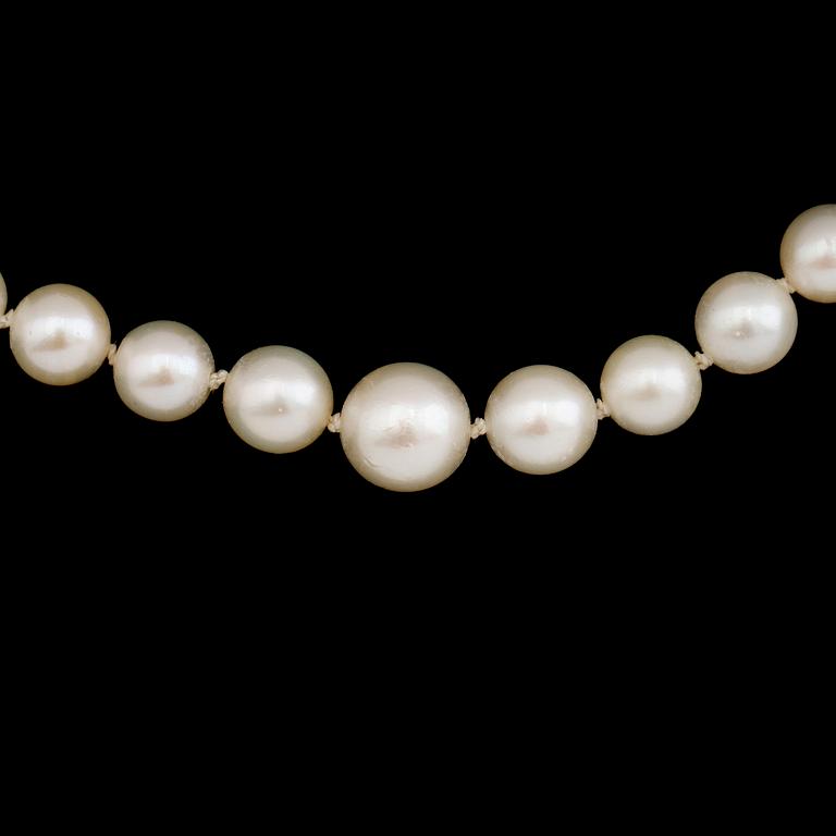 PÄRLCOLLIER, odlade pärlor, lås 18K vitguld.