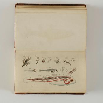 MARC ÉLIÉSER BLOCH (1723-1799), 6 vol, Ichthyologie ou Histoire Naturelle des Poissons, Berlin 1796.