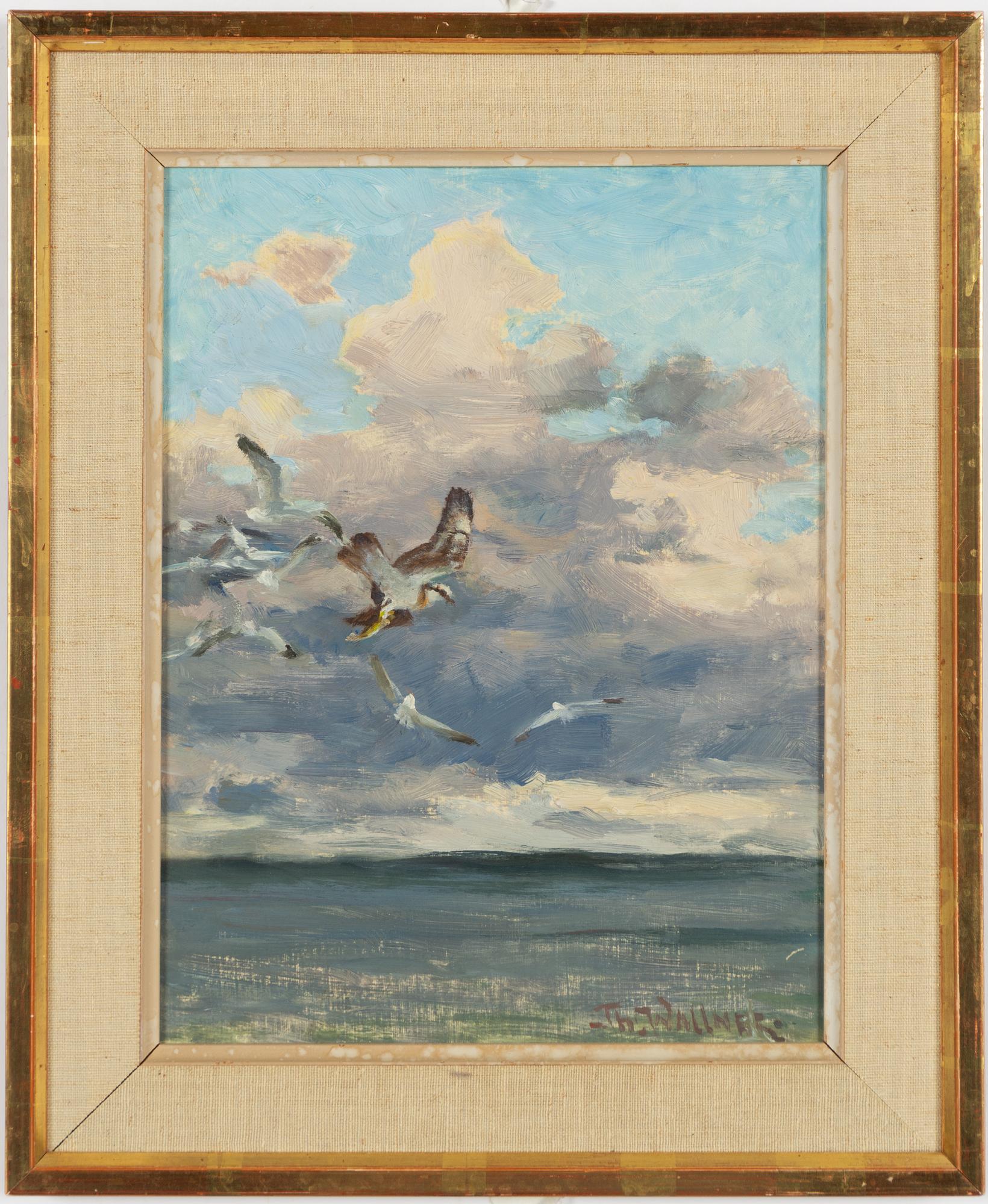 Thure Wallner, Sea birds.