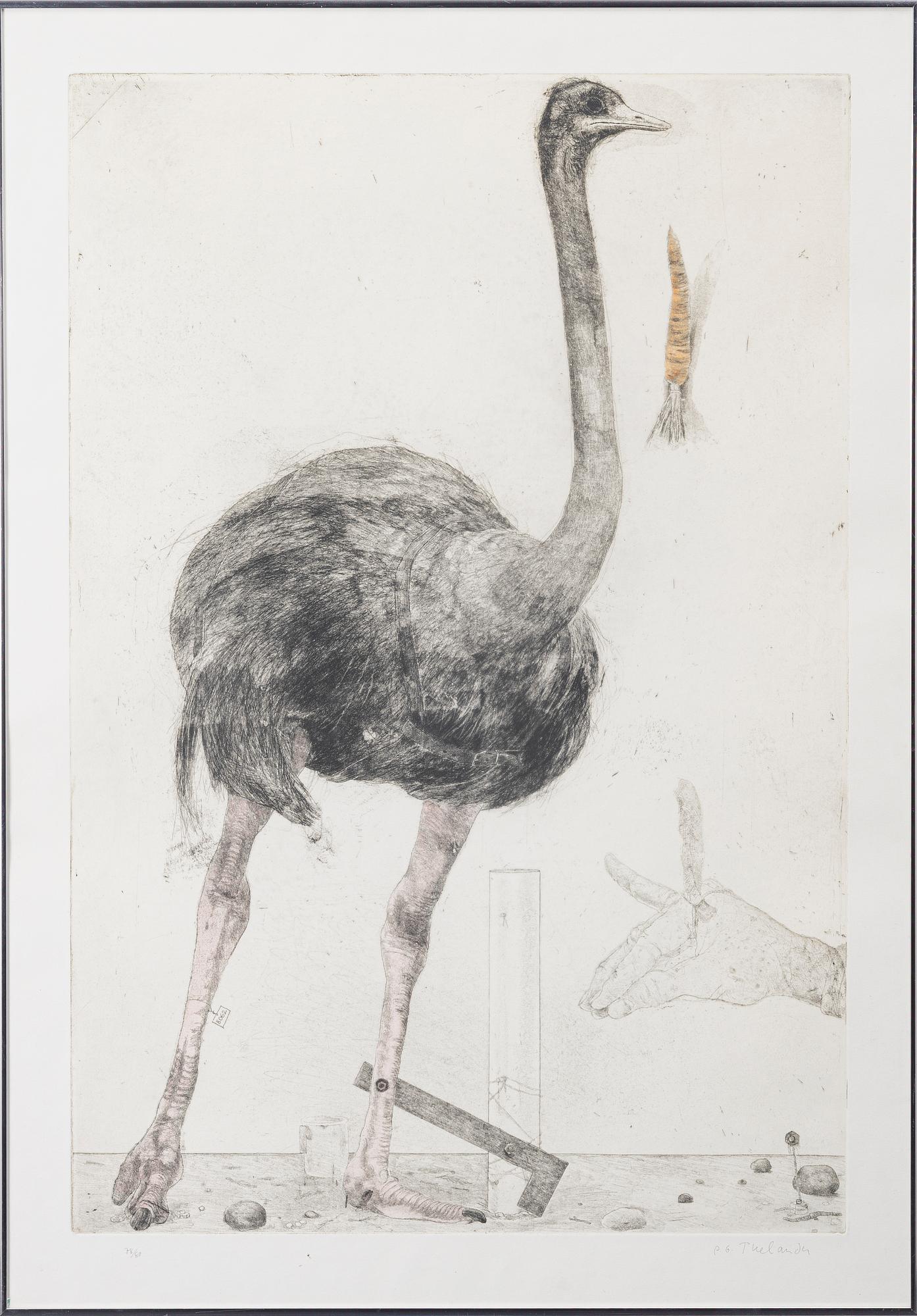 PG Thelander, "Europeiska strutsar VI".