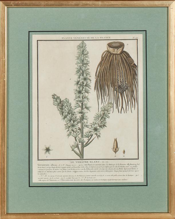GRAFISKA BLAD, 4 st, kolorerade, 1700/1800-tal.