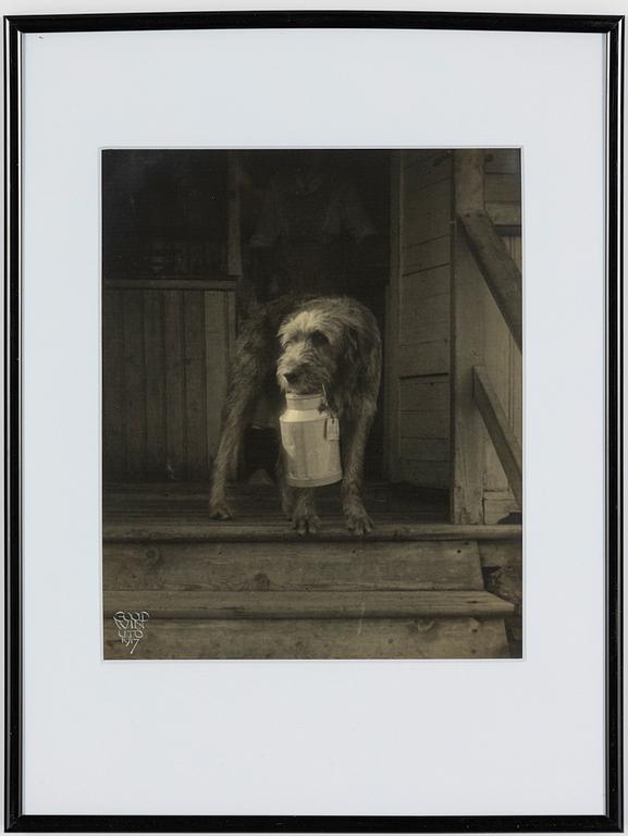Henry B. Goodwin, "Troll in the Milk Stand, 1917".