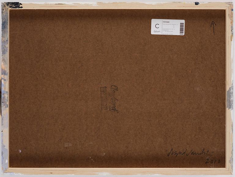 Sigrid Sandström, Untitled.