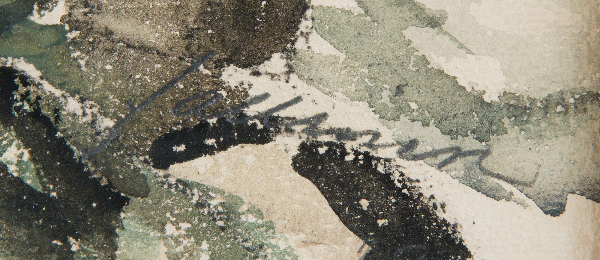 Tyko Sallinen, Vy vid å.