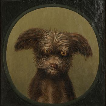 Okänd konstnär, 1800-tal, Hundporträtt.