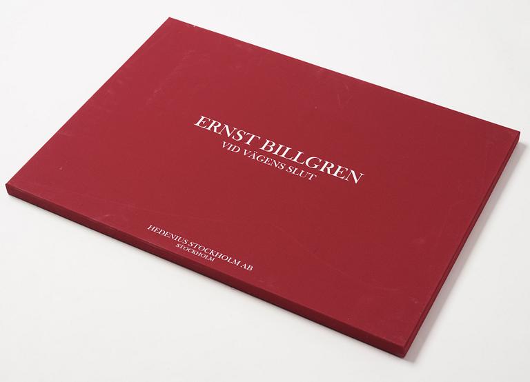 Ernst Billgren, Portfolio "Vid vägens slut".