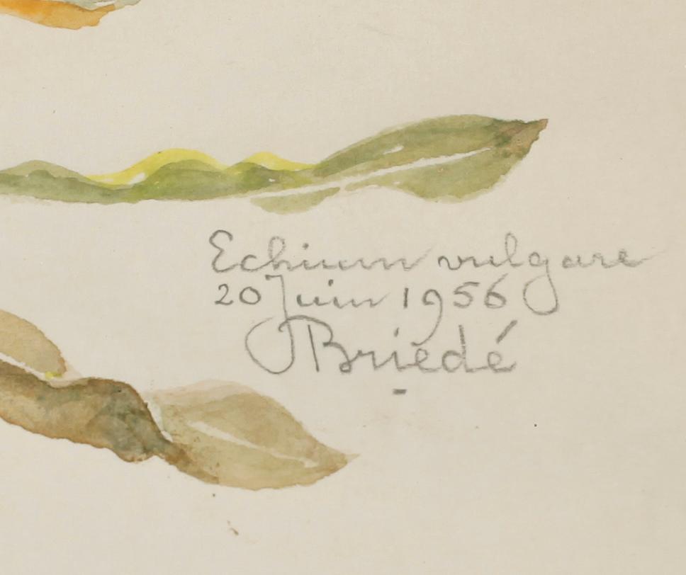 JOHAN BRIEDÉ, akvarell, sign och dat juin 1956.