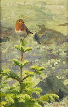 Thure Wallner, Robin.