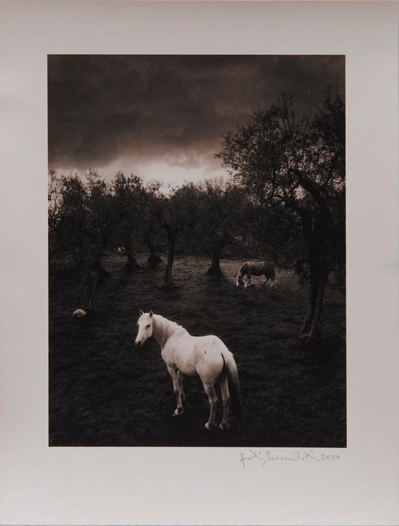 PENTTI SAMMALLAHTI, "CILENTO, ITALY".