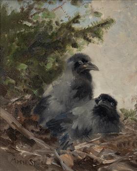 Mosse Stoopendaal, Crows.