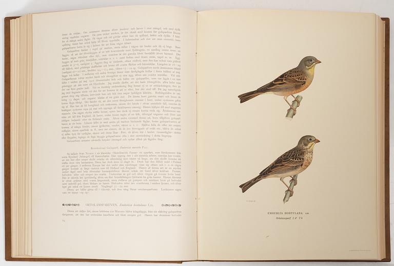The Wright Brothers, books, 3 volumes, 'Svenska Fåglar', A. Börtzells tryckeri AB, Ivar Baarsen, Stockholm, 1924-1929.
