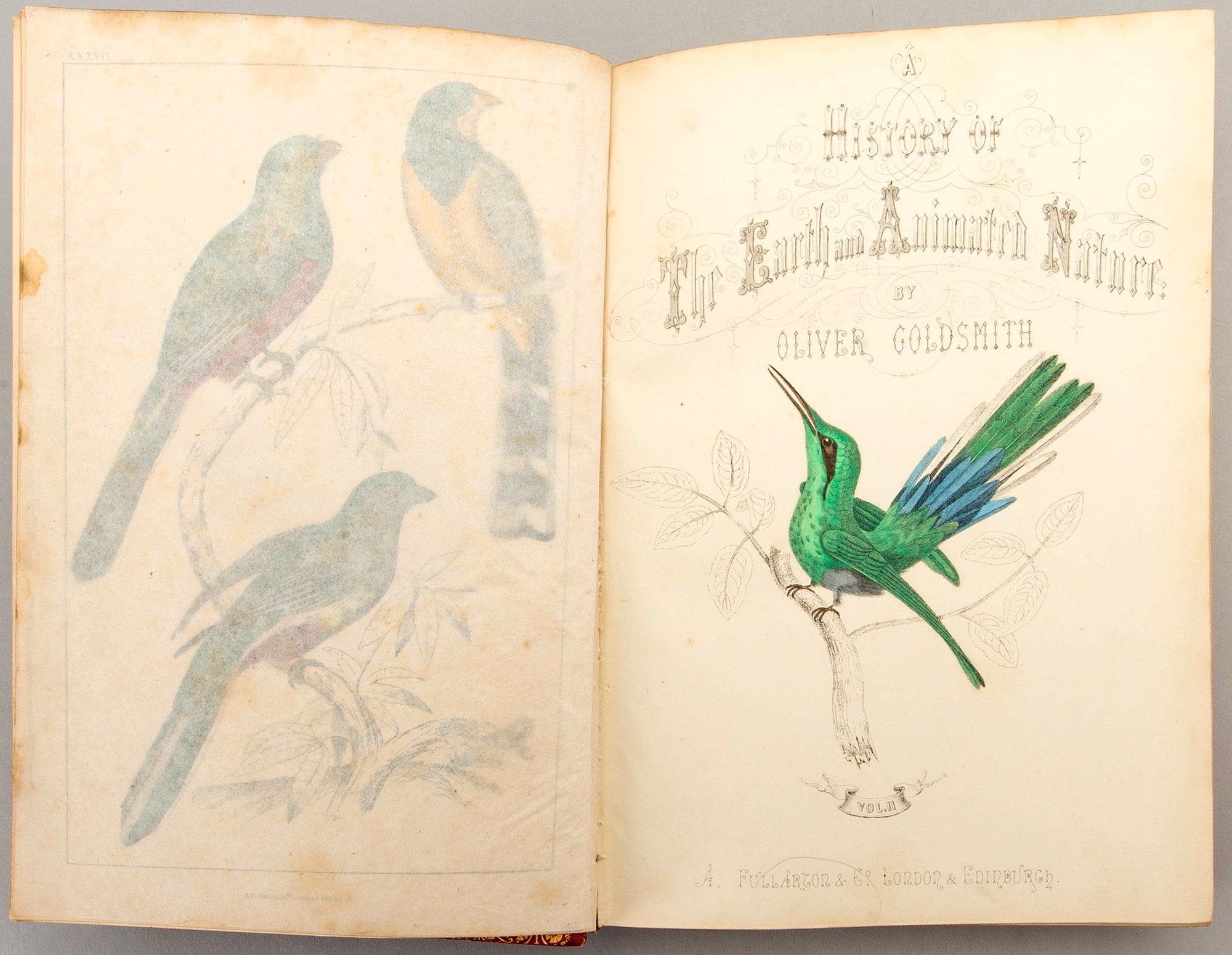 OLIVER GOLDSMITH 'A History of The Earth and Animated Nature' I-II, hand colored plates, c 1870.