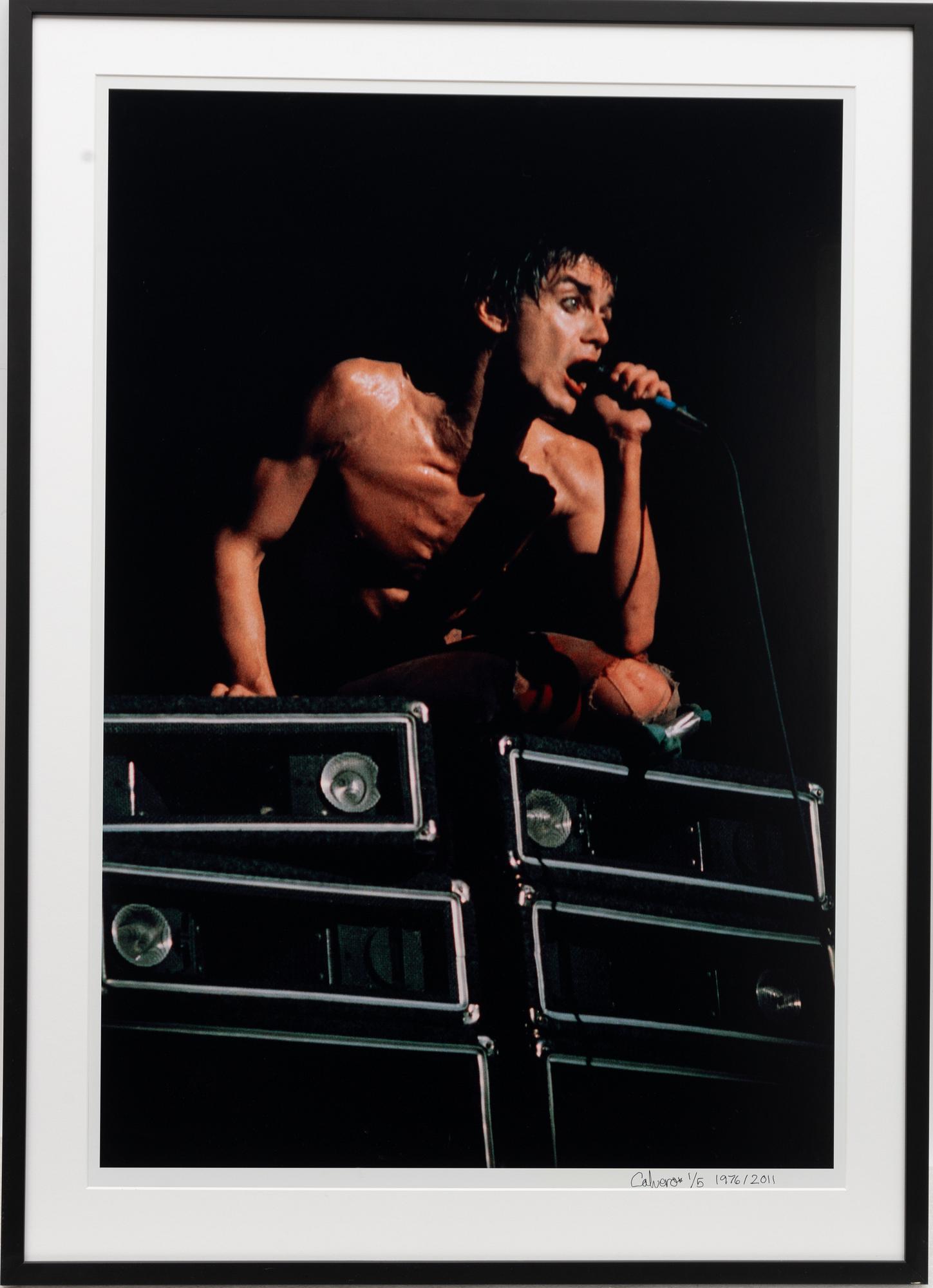 Torbjörn Calvero, "Iggy Pop", 1976.