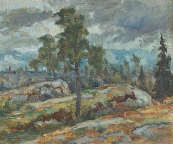 Kaapo Wirtanen, Landskap.