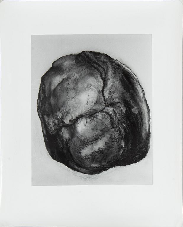 Photograph, 16 pcs, unknown artist.