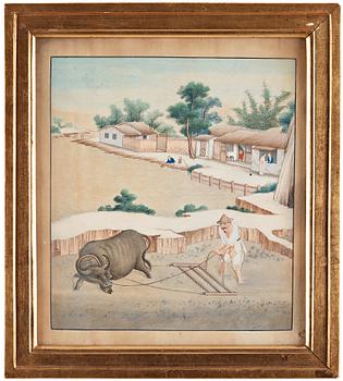 AKVARELLER, nio stycken. Okänd konstnär, Qingdynastin, 1800-tal.