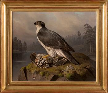 FERDINAND VON WRIGHT, A HAWK WITH ITS PREY.