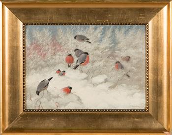 Johan Jakob Reinberg, Bullfinches.