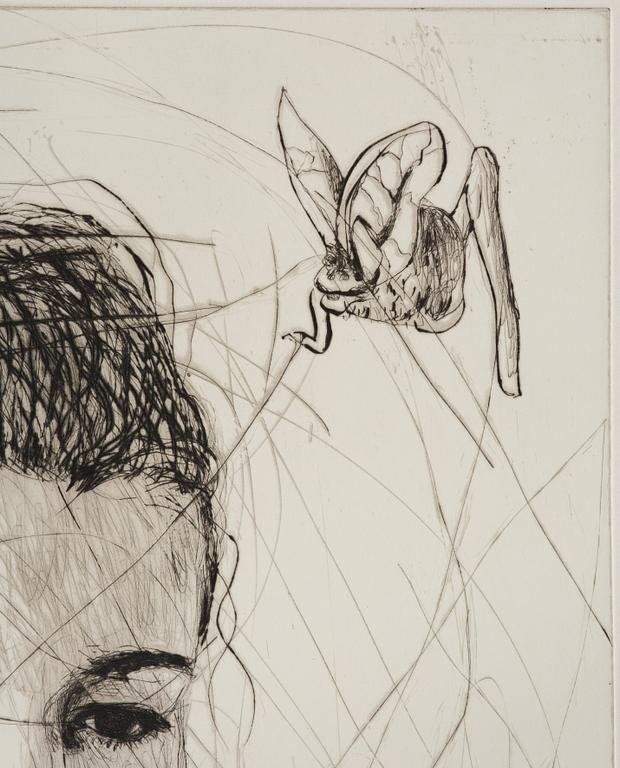 Linn Fernström, "Fladder".