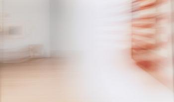 Louise Lawler, Misugoshi: "Three Flags (swiped)".